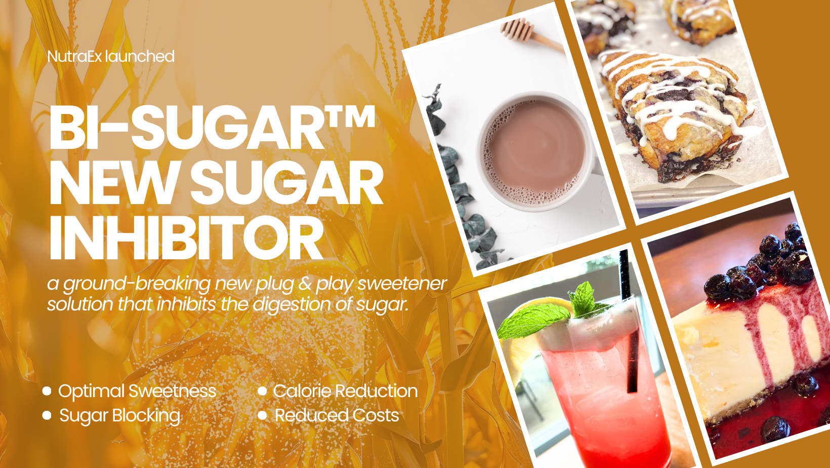NutraEx Food harnesses “plug and play” technology with latest sugar reduction solution